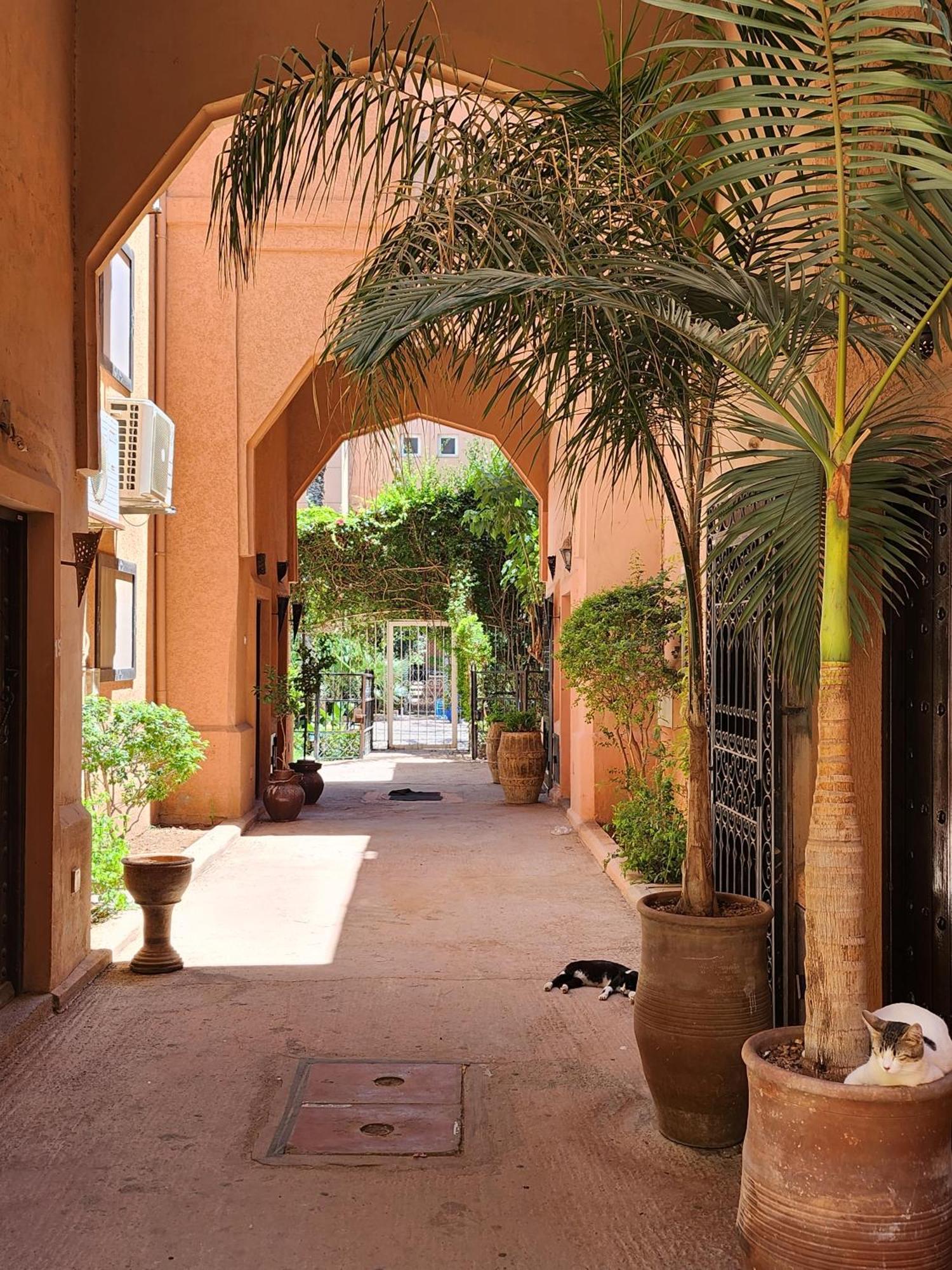 Riad With 3 Swimming Pools Hotel Marrakesh Ngoại thất bức ảnh